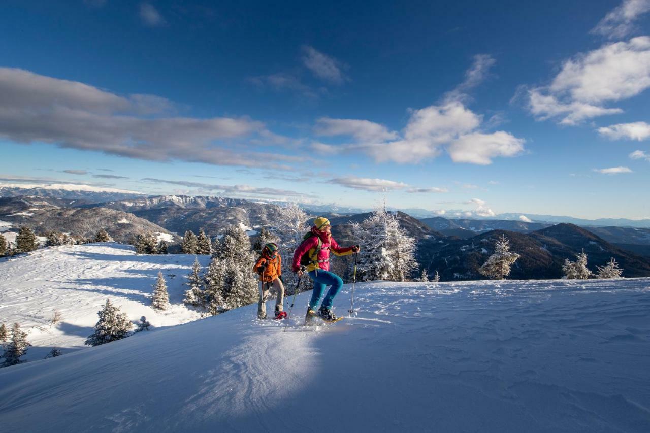 Luxury Chalet Kreischberg 11A Sankt Lorenzen ob Murau Bagian luar foto